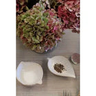 Detaille Leaf Petite Dish - 11cm
