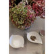 Detaille Leaf Petite Dish - 11cm