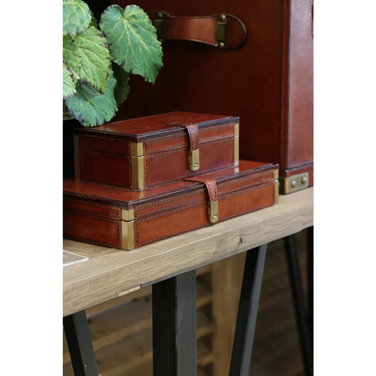 Riviera Midi Leather Jewellery Box