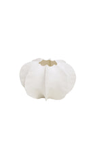 Flower Pod Vase - Fine Bone China - White 22 x 13.5cm