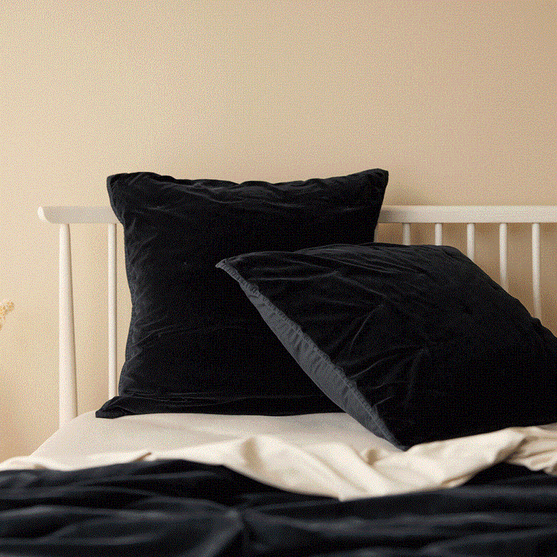 Venus Cotton Velvet Euro Pillowcase - Nero