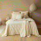 Venus Cotton Velvet Euro Pillowcase - Ivory