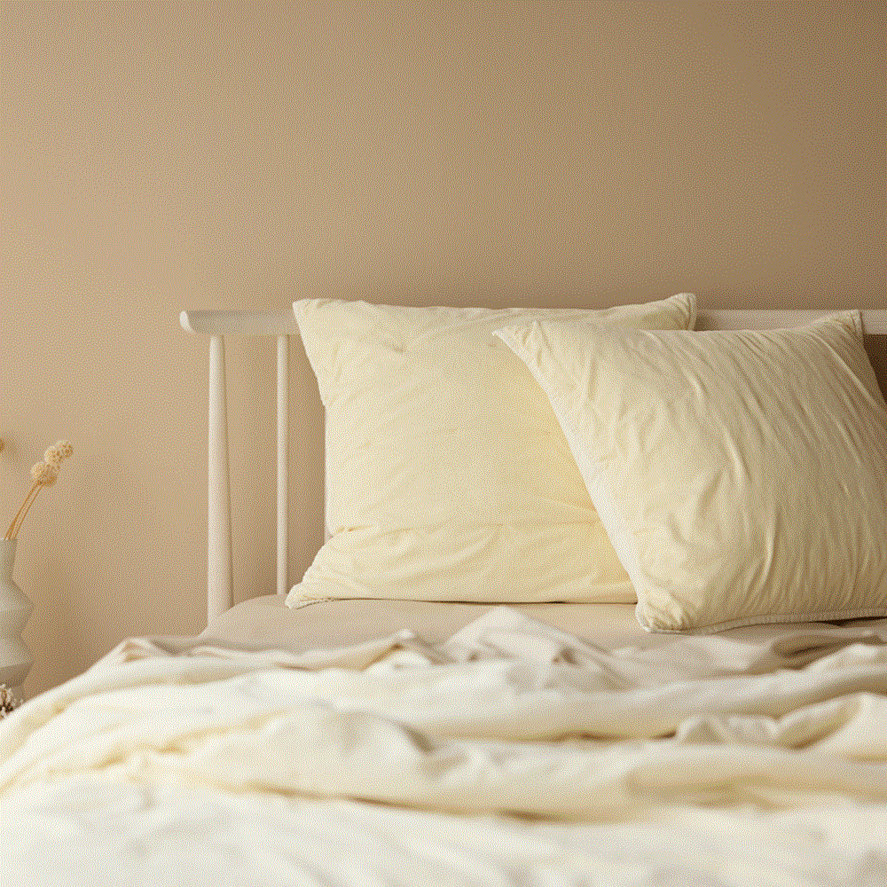 Venus Cotton Velvet Euro Pillowcase - Ivory