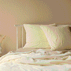 Venus Cotton Velvet Euro Pillowcase - Ivory