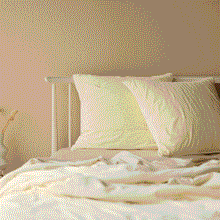 Venus Cotton Velvet Euro Pillowcase - Ivory