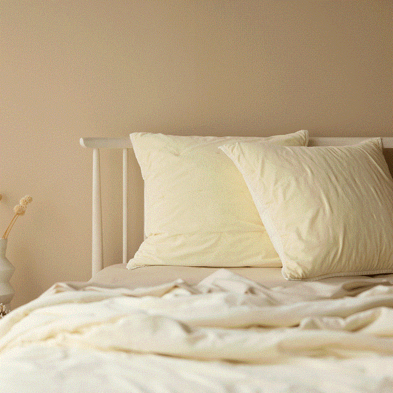 Venus Cotton Velvet Euro Pillowcase - Ivory