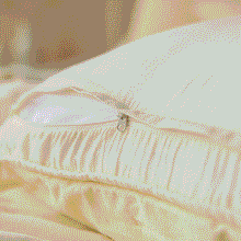 Venus Cotton Velvet Euro Pillowcase - Ivory