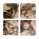 Ivy and Fig Resin Coaster Sets
