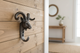 Decorative wall hook shaped like a ram's head with curved horns on a white background